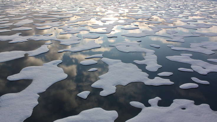 Climate Change Report Calls for Action: Lavin Speakers on the Environment